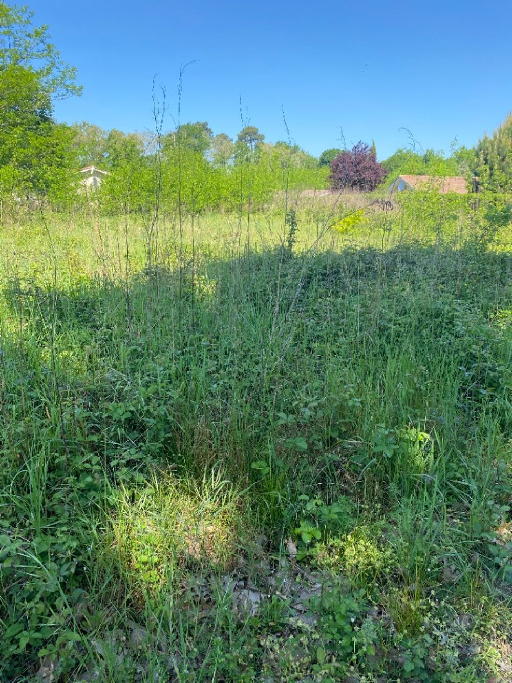 vente Maison - 5 pièce(s) - 80 m² La Teste-de-Buch (33260)