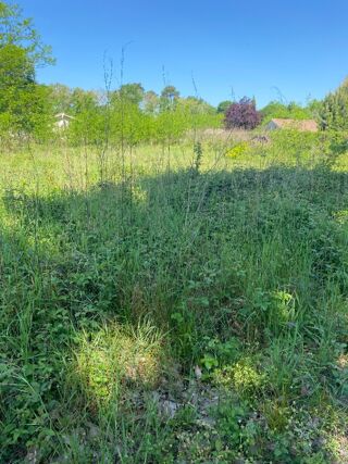  Maison à vendre 5 pièces 80 m²