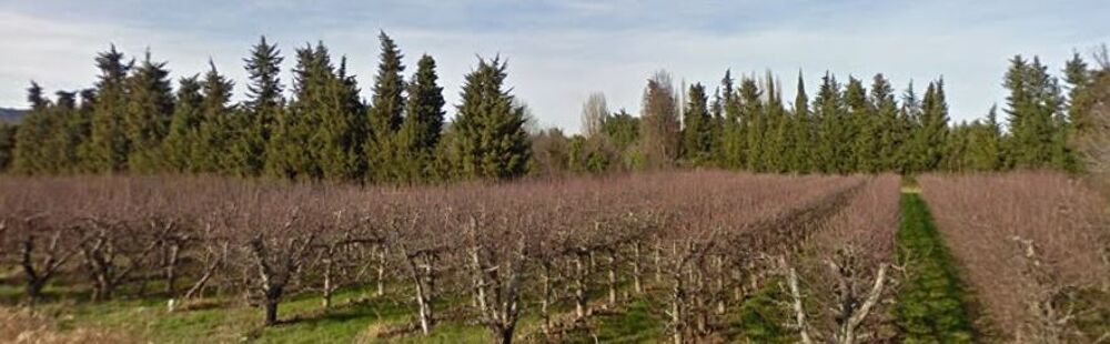 vente Terrain - 350 m² Sénas (13560)