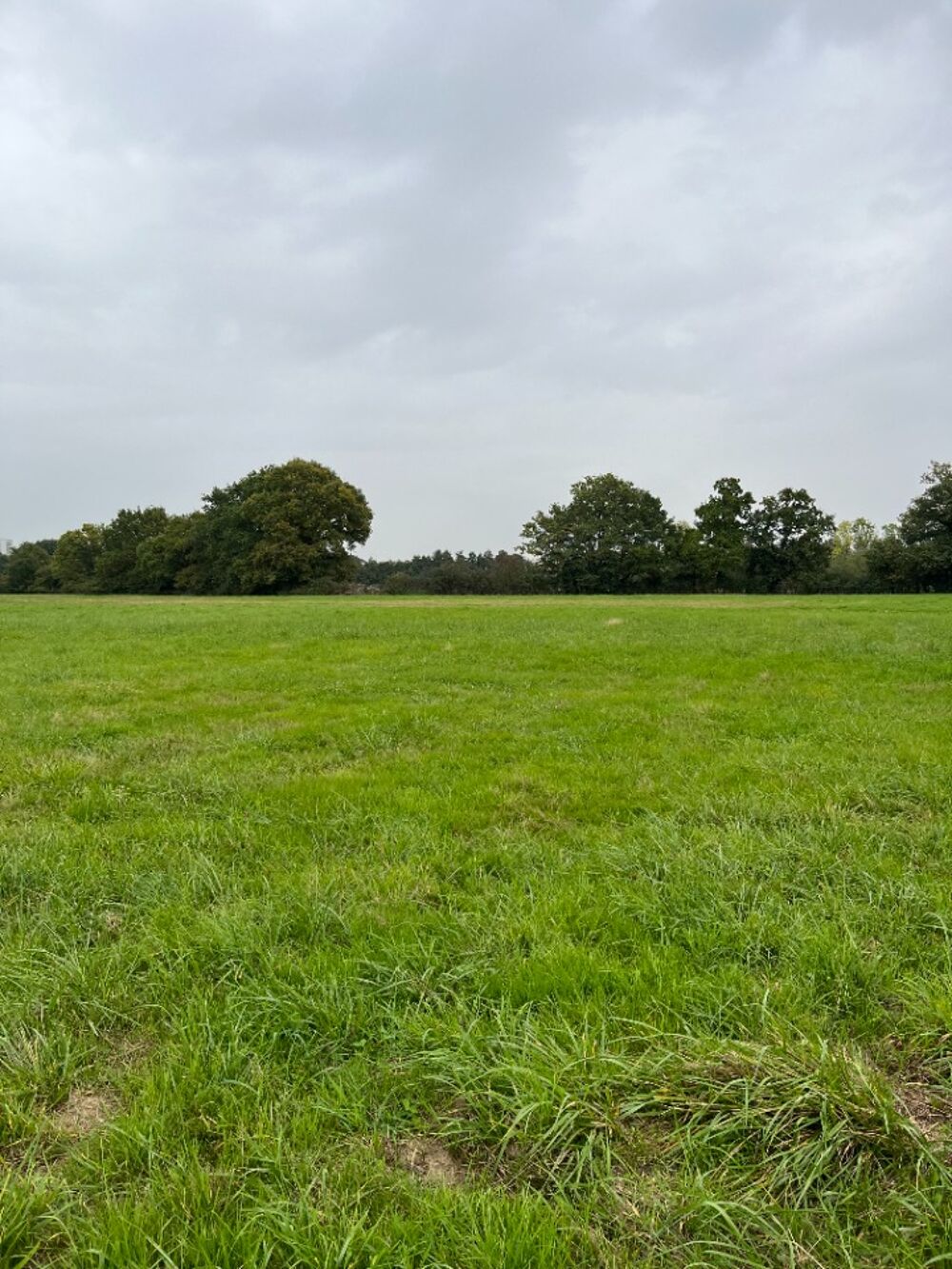 vente Terrain - 424 m² Saint-Germain-du-Corbéis (61000)