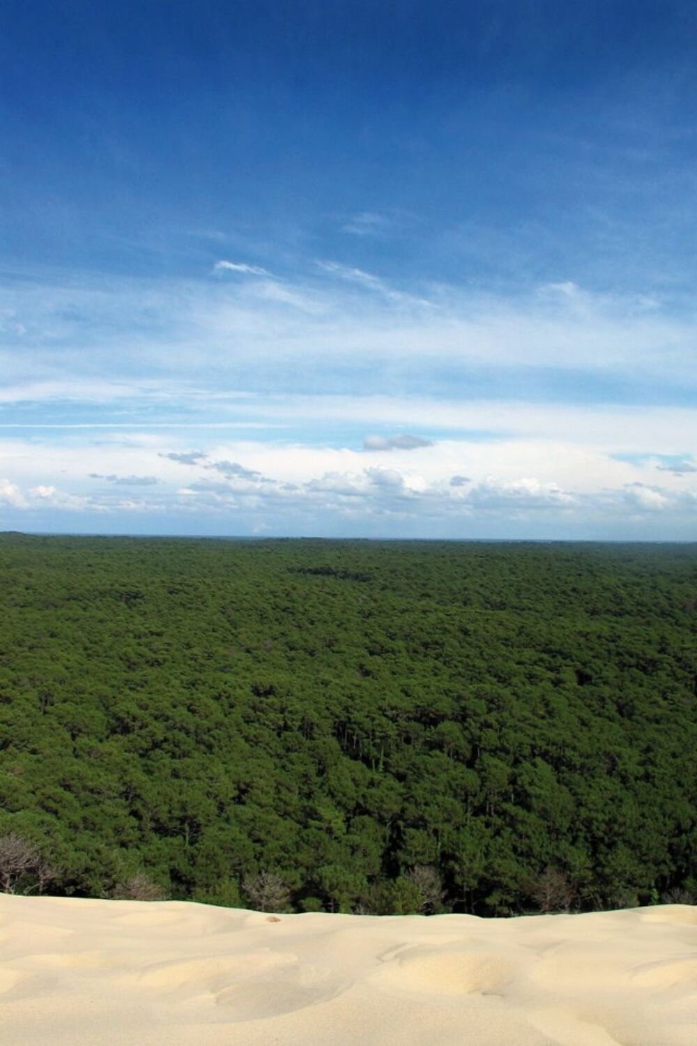 vente Terrain - 600 m² Le Teich (33470)