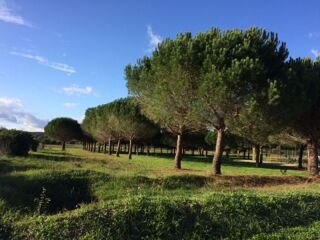  Maison � vendre 6 pi�ces 134 m�