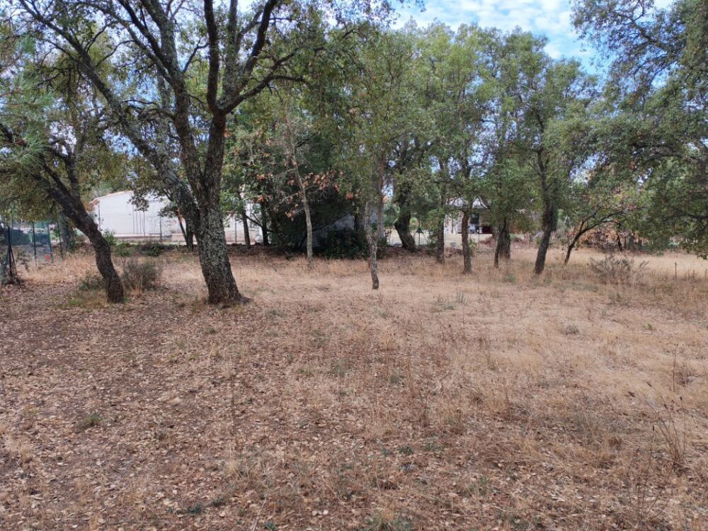 vente Terrain - 450 m² Le Cannet-des-Maures (83340)