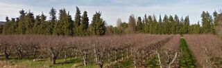  Terrain � vendre 350 m�