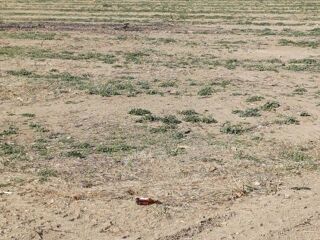  Terrain � vendre 208 m�