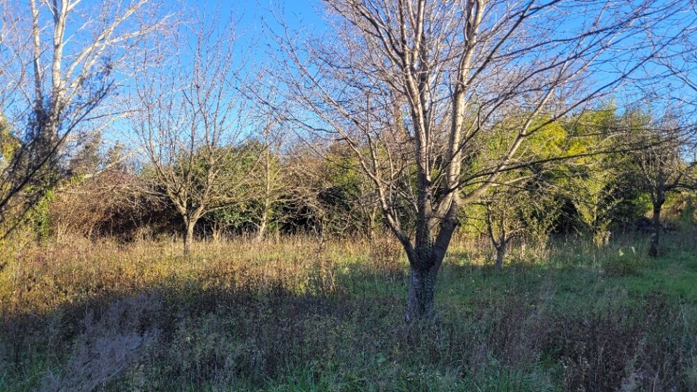 vente Terrain - 644 m² Cruas (07350)