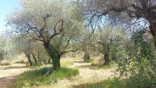  Terrain � vendre 2550 m�