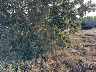  Terrain 513 m� Seignosse