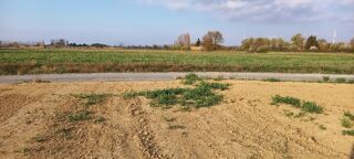  Maison 5 pièces 98 m² Canet