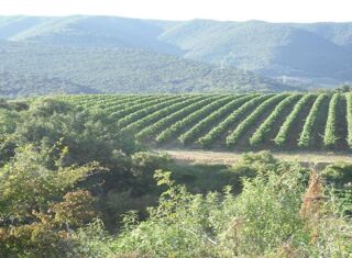  Terrain � vendre 800 m�