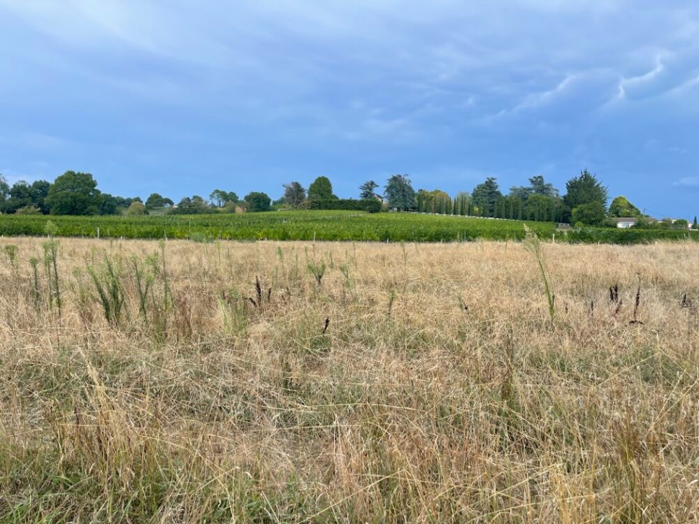 vente Terrain - 705 m² Camblanes-et-Meynac (33360)