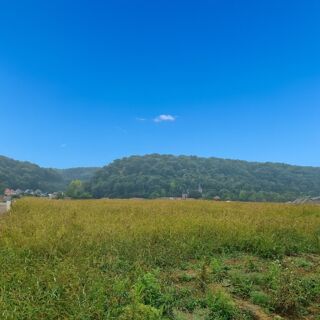  Terrain  vendre 300 m