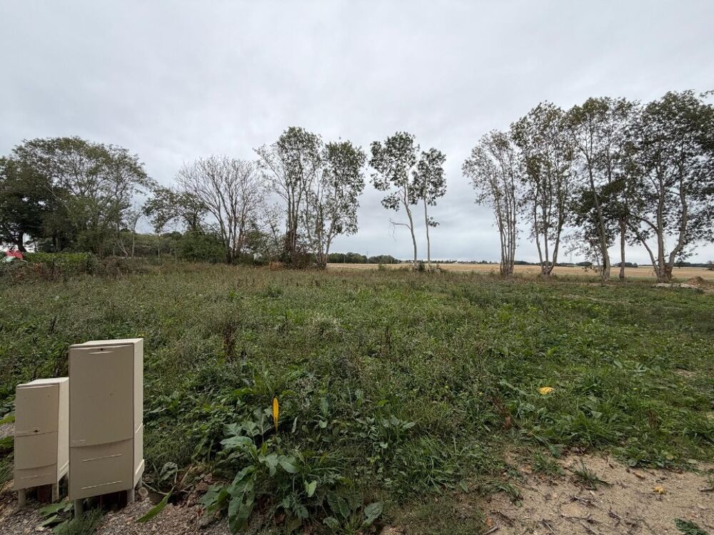 vente Terrain - 903 m² Cravent (78270)