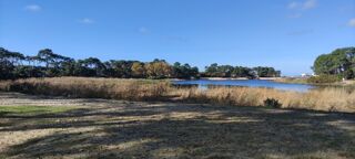  Terrain 393 m� Mimizan