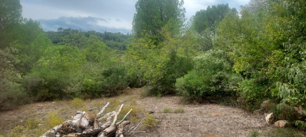 vente Terrain - 620 m² Camps-la-Source (83170)
