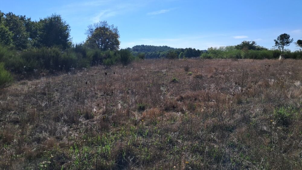 vente Terrain - 2908 m² Montguyon (17270)