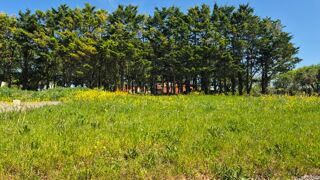  Maison � vendre 4 pi�ces 86 m�