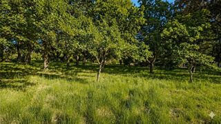  Terrain à vendre 1200 m²