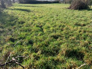  Maison 4 pi�ces 90 m� Chassors