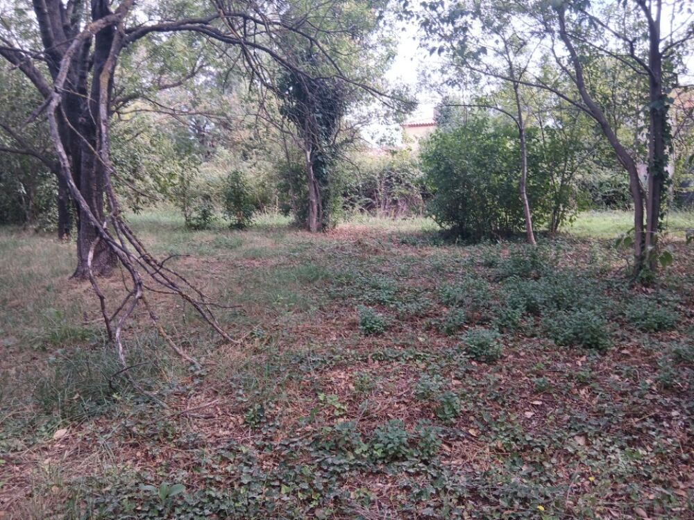 vente Terrain - 763 m² Solliès-Pont (83210)