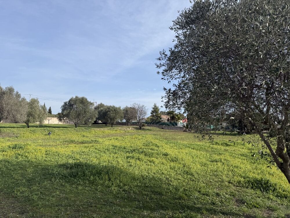 vente Terrain - 692 m² Roquebrune-sur-Argens (83520)