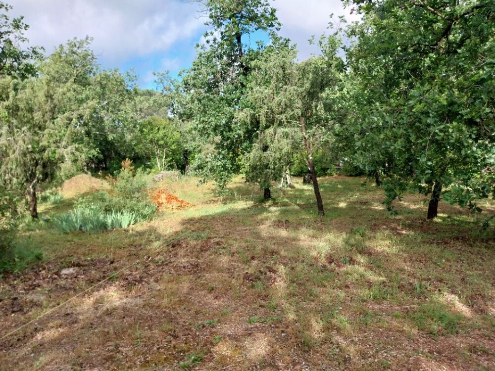 vente Maison - 4 pièce(s) - 77 m² Le Cannet-des-Maures (83340)