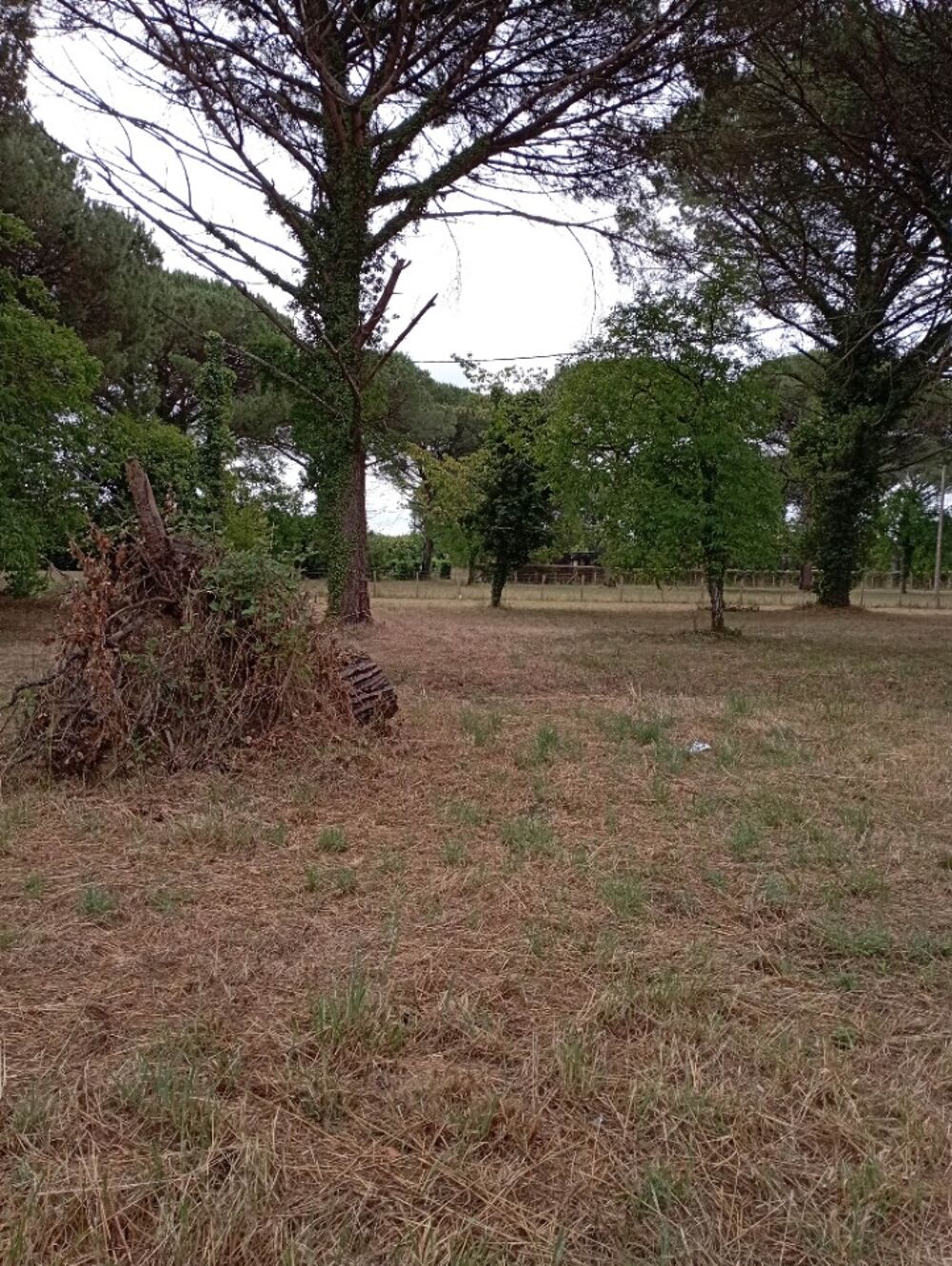 vente Terrain - 1041 m² Langon (33210)