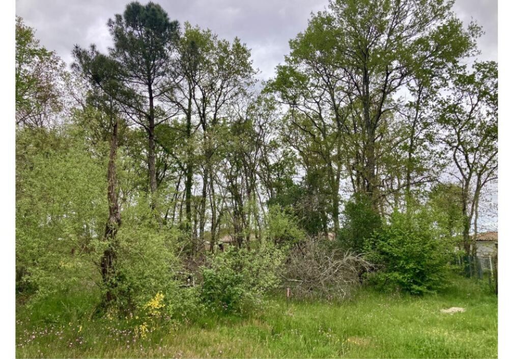 vente Terrain - 1075 m² Le Haillan (33185)