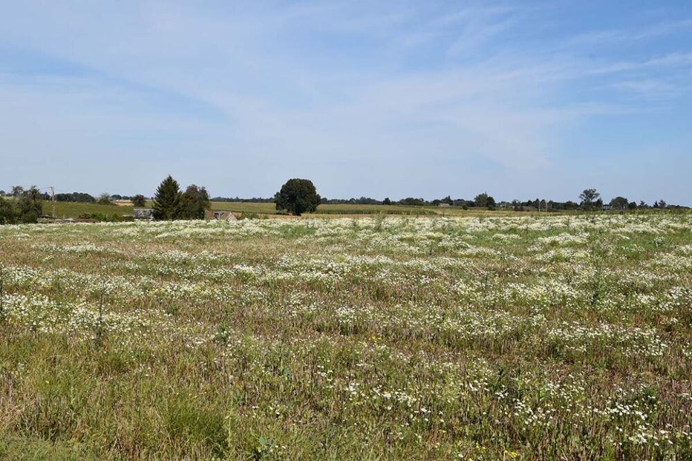 vente Terrain - 770 m² Vibeuf (76760)