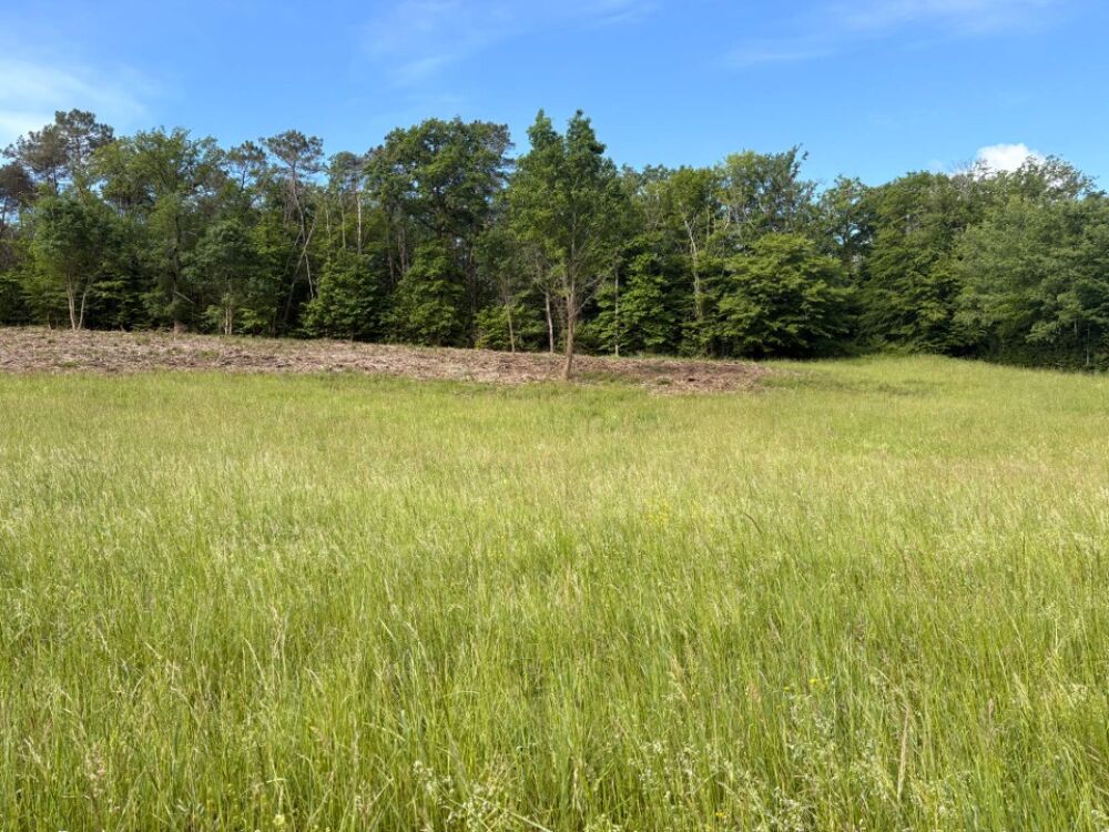 vente Terrain - 2600 m² Château-l'Évêque (24460)