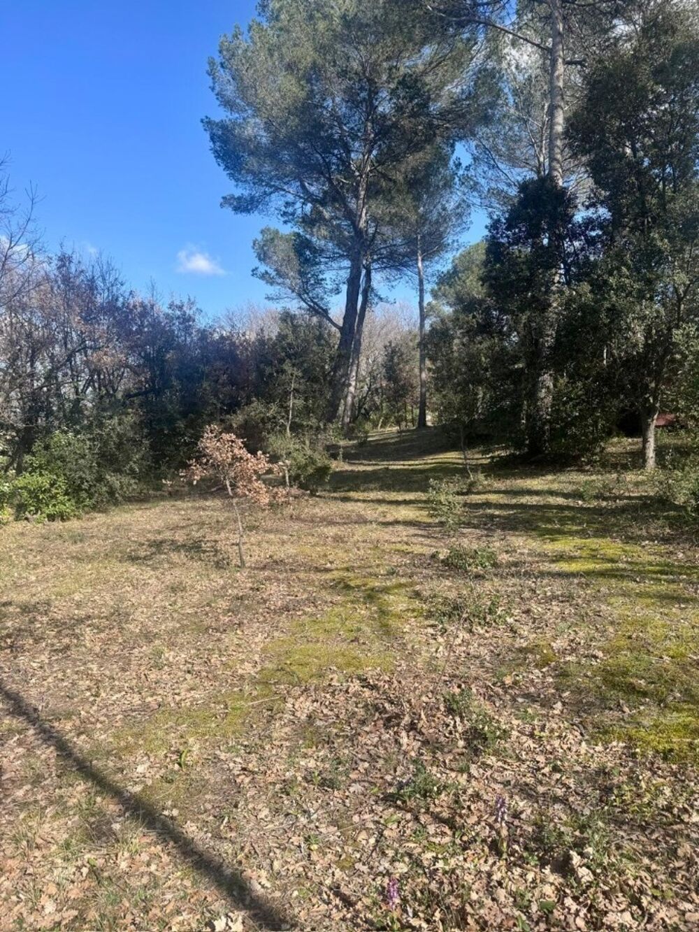 VENTE : maison de 4 pièces (88 m²) à La Roque-d'Anthéron....