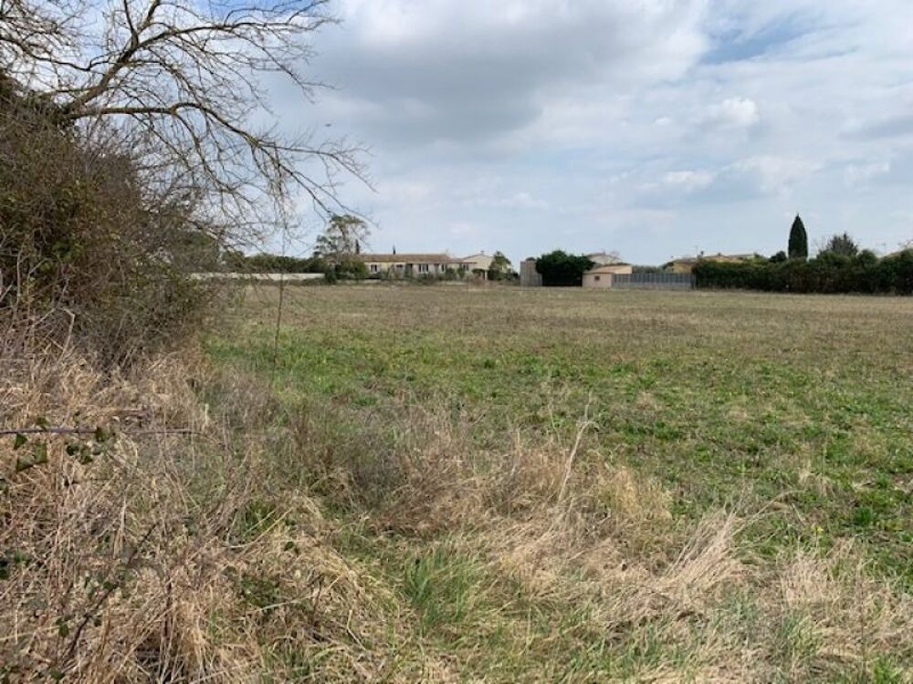 vente Terrain - 546 m Quissac (30260)