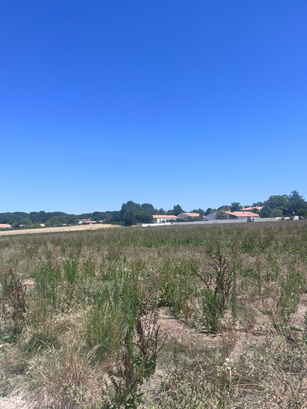 vente Terrain - 445 m² Étaules (17750)