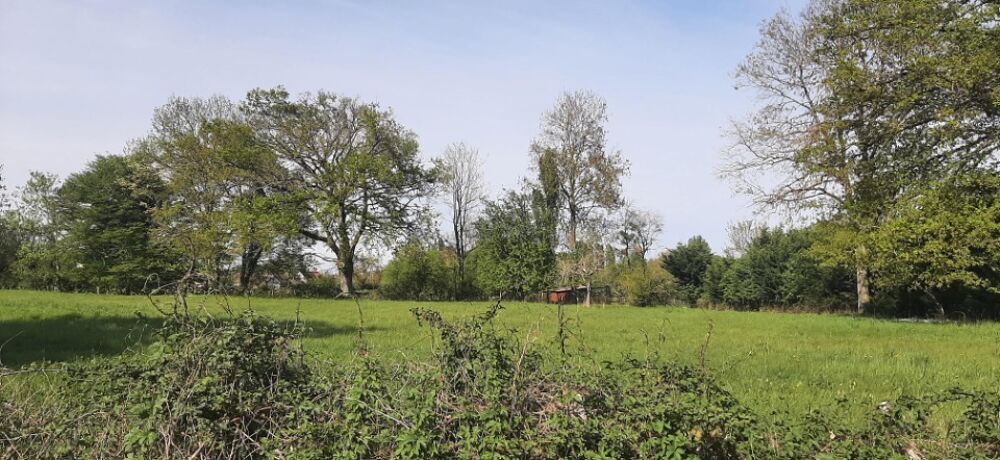 vente Terrain - 334 m² Savigné-l'Évêque (72460)