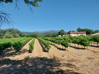  Terrain � vendre 620 m�