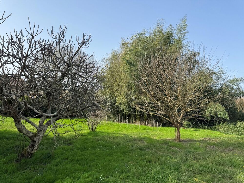 vente Terrain - 630 m² Andernos-les-Bains (33510)
