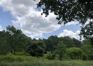  Terrain � vendre 1000 m�