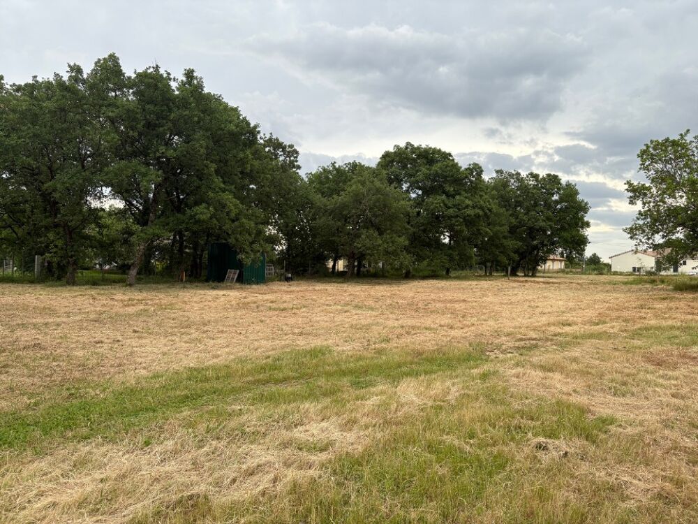 vente Terrain - 1050 m² Fronton (31620)