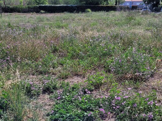 Terrain - 392 m²