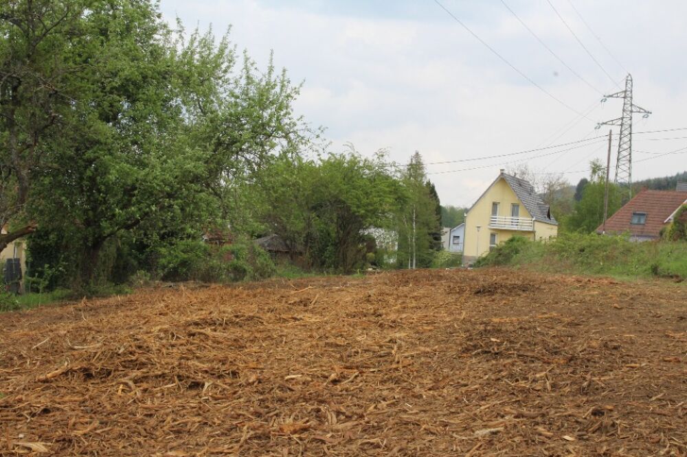 vente Maison - 4 pièce(s) - 118 m² Russ (67130)