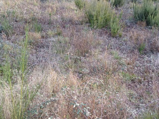  Terrain � vendre 957 m�