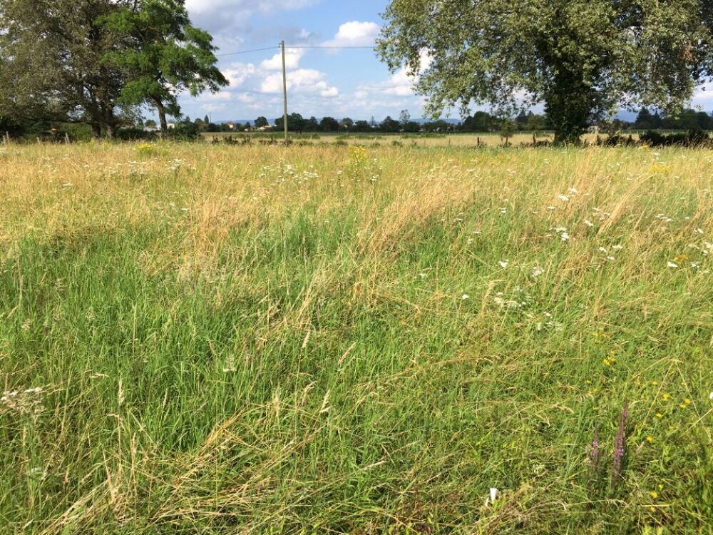 vente Terrain - 530 m² Bâgé-la-Ville (01380)
