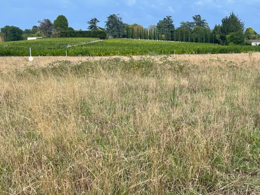 vente Terrain - 570 m² Camblanes-et-Meynac (33360)