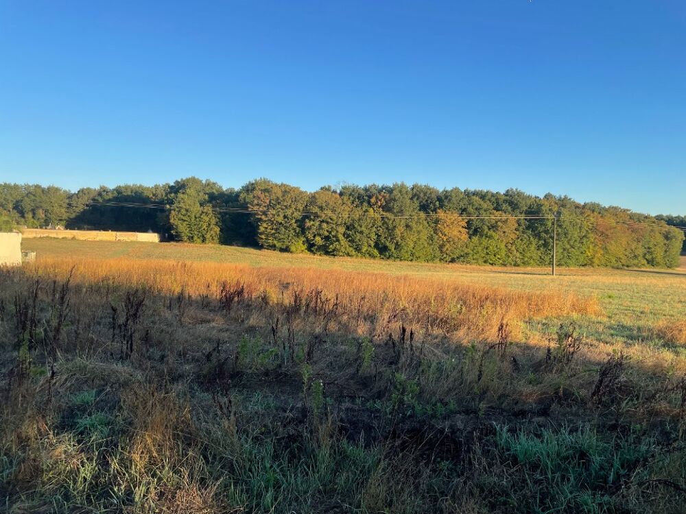 vente Terrain - 738 m² Les Essards (17250)