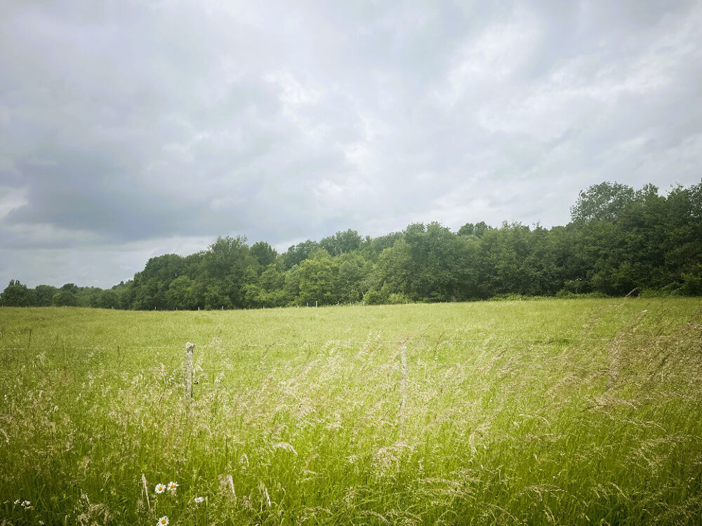 vente Terrain - 445 m² La Lande-de-Fronsac (33240)