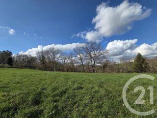  Maison 4 pièces 90 m² Montespan