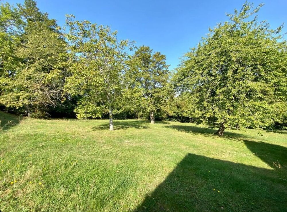 vente Maison - 7 pièce(s) - 124 m² Saint-Jean-les-Deux-Jumeaux (77660)