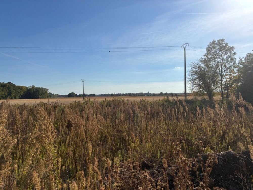 vente Terrain - 483 m² Marckolsheim (67390)