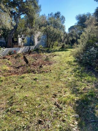  Terrain 670 m� Le cannet-des-maures