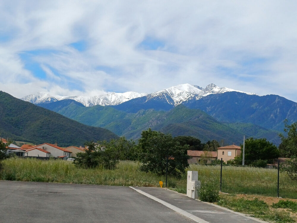 vente Terrain - 277 m² Vinça (66320)